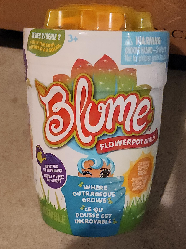 Blume flowerpot girls thumbnail