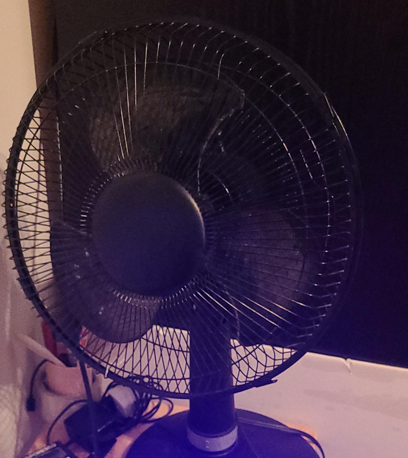 Black Electric Fan thumbnail