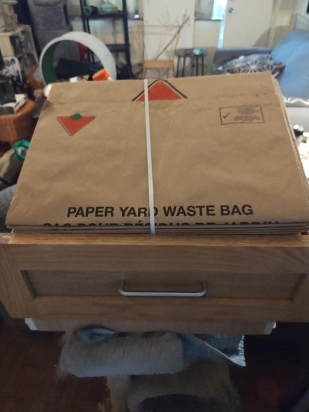 Canadian Tire Paper Yard Waste Bags - photo 2