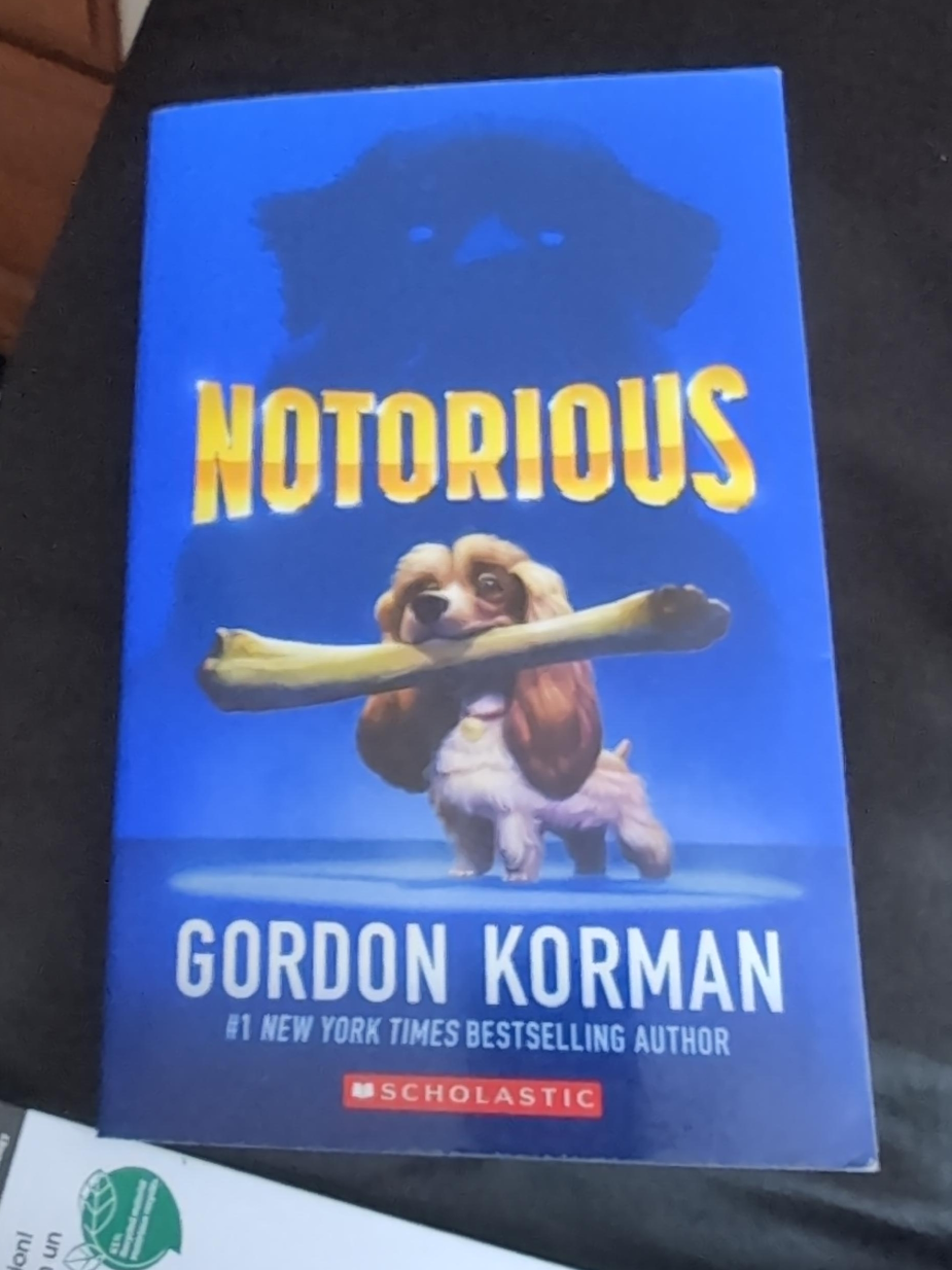 Notorious by Gordon Korman thumbnail