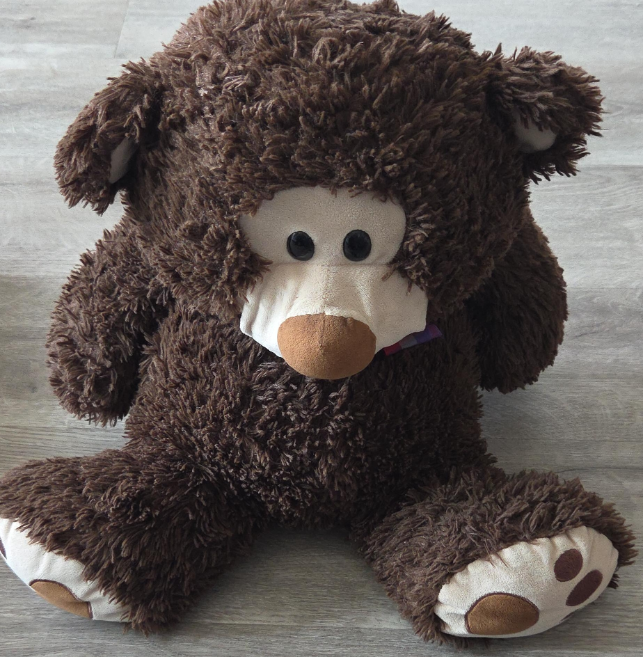 Brown Teddy Bear Plush thumbnail