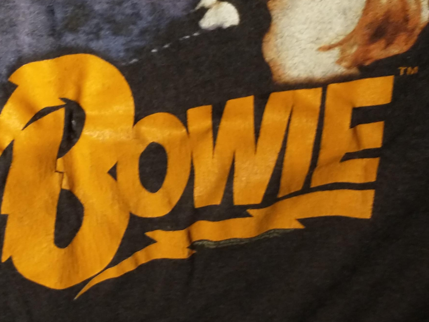 David Bowie T-Shirt image indicator(1)