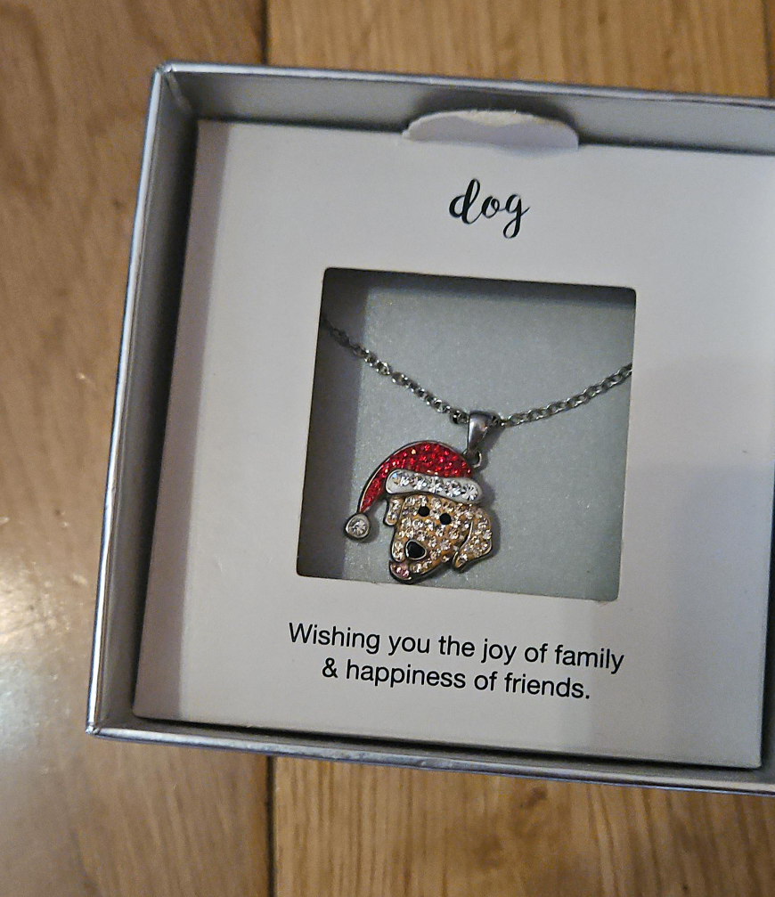 Dog Necklace with Santa Hat thumbnail
