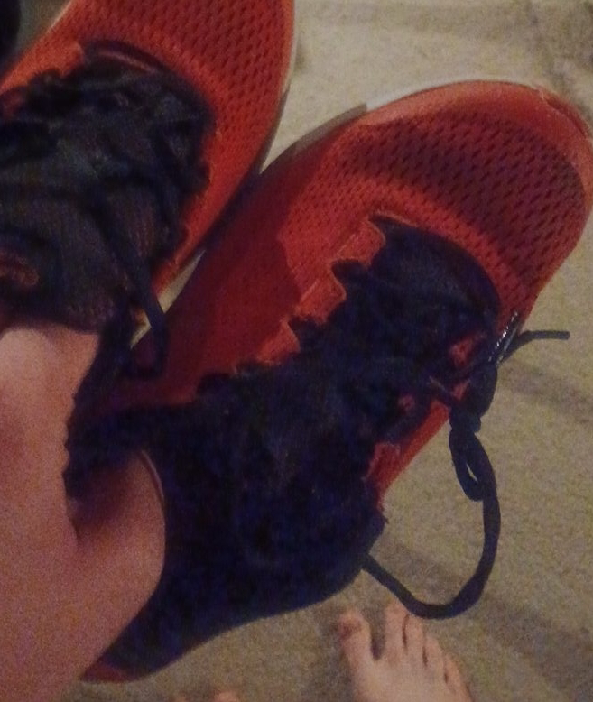 Red Athletic Shoes thumbnail