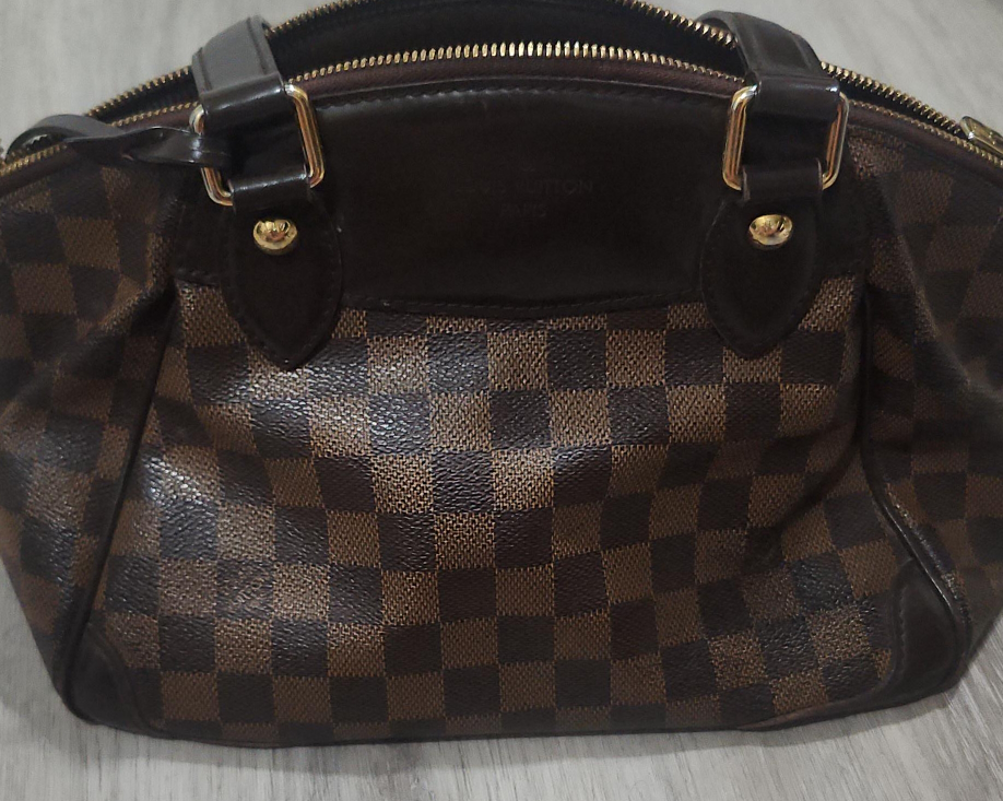 Louis Vuitton Damier Ebene Speedy 25