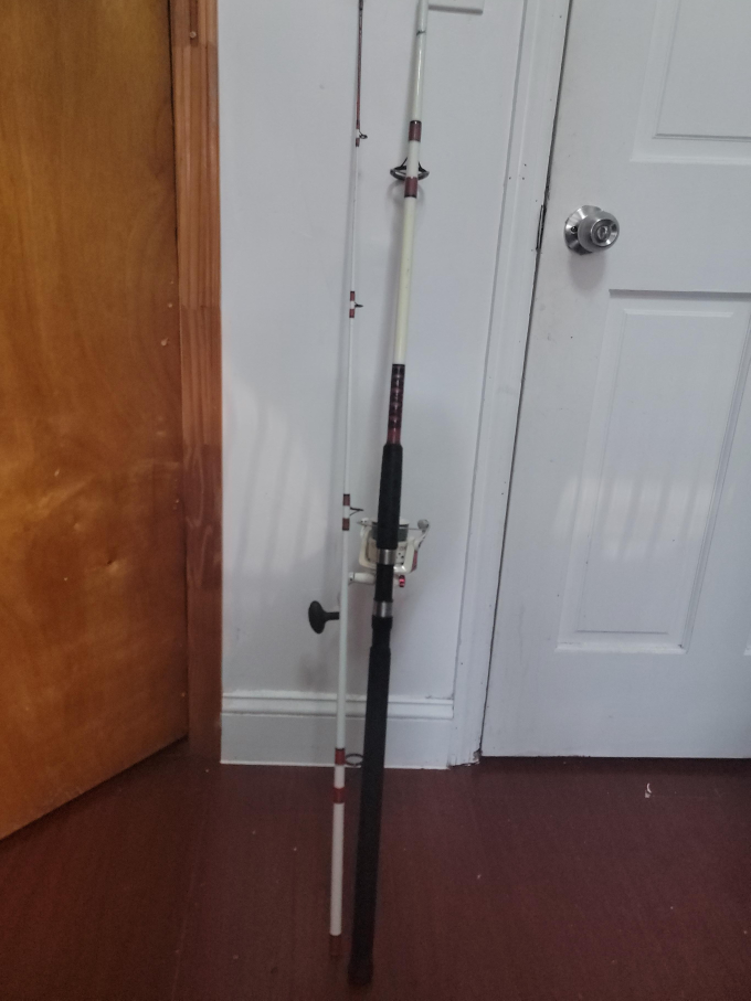 caña de pesca  8 ft como esta enla foto solo recoger no  hembio