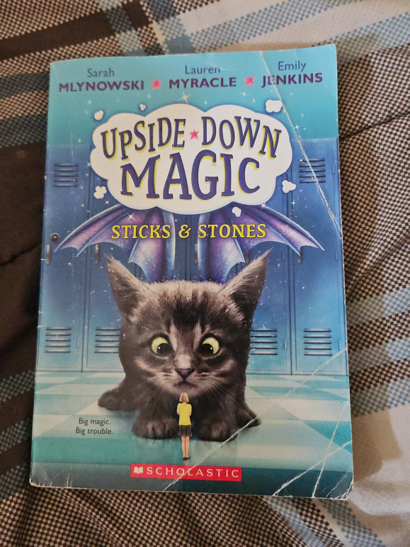 Upside Down Magic: Sticks & Stones by Sarah Mlynowski thumbnail