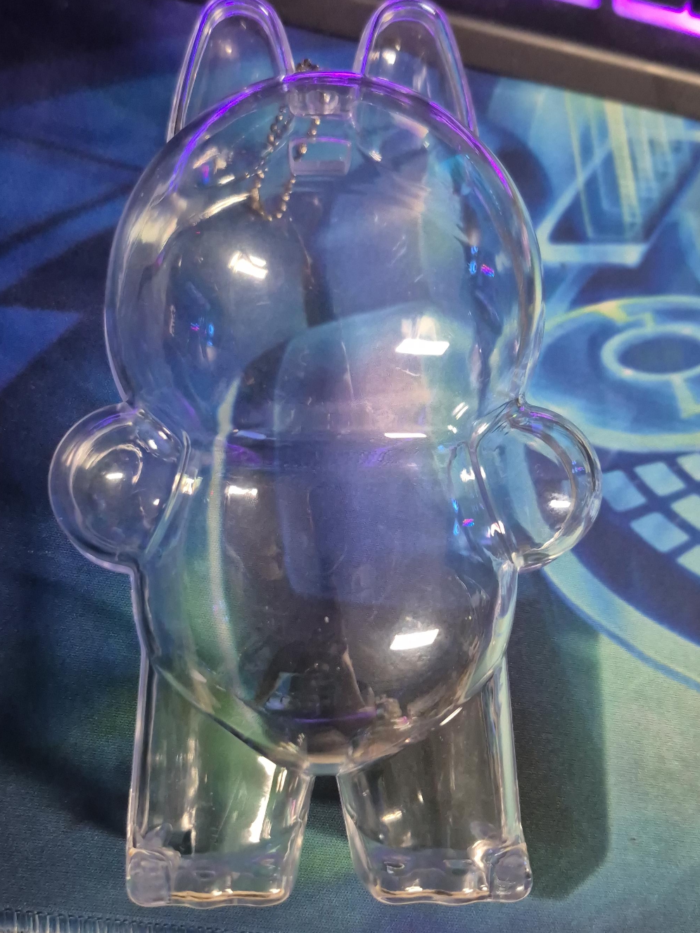 Clear Labubu Case