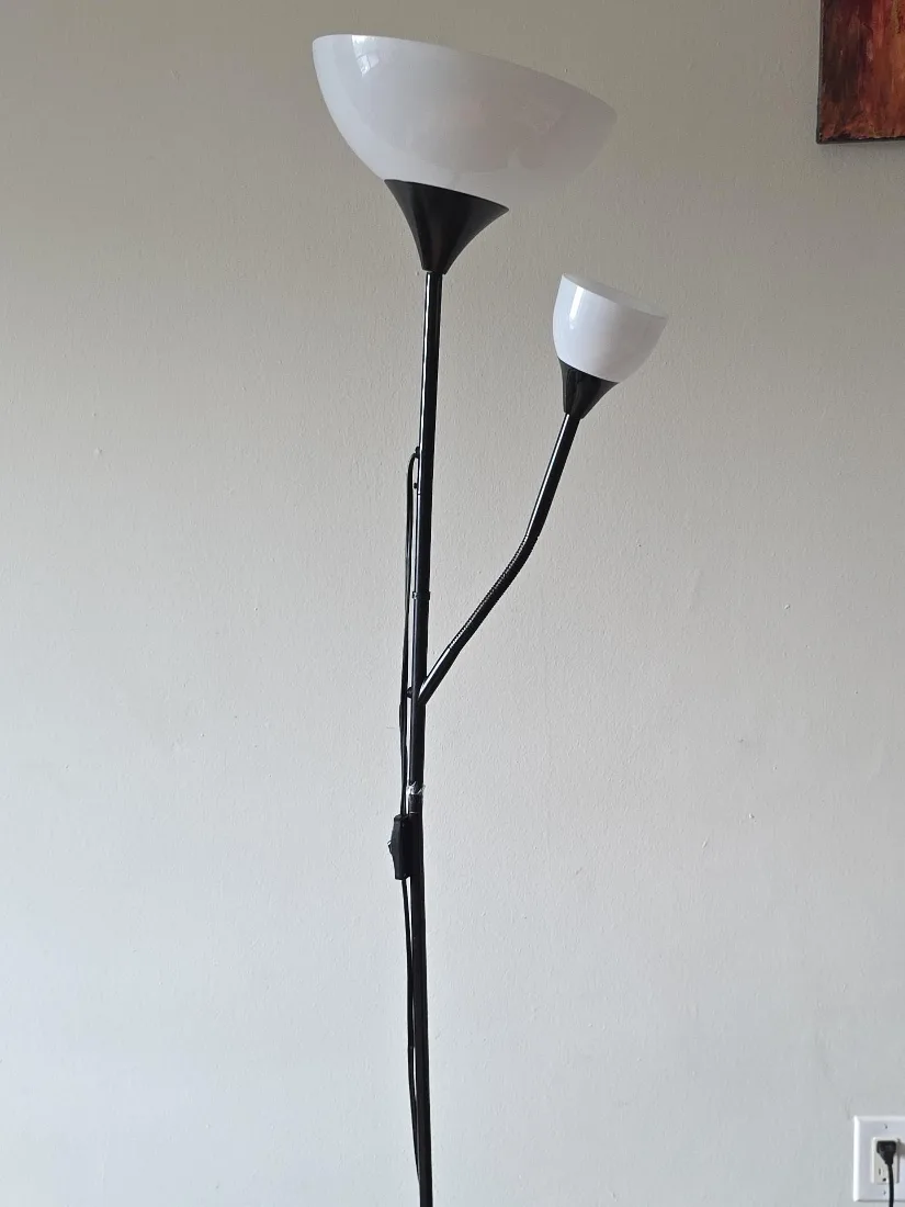 Black Floor Lamp with Reading Light