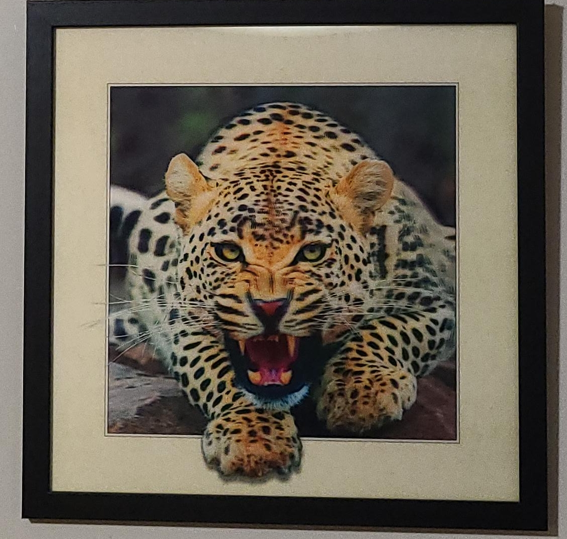 Framed Leopard Print from India thumbnail