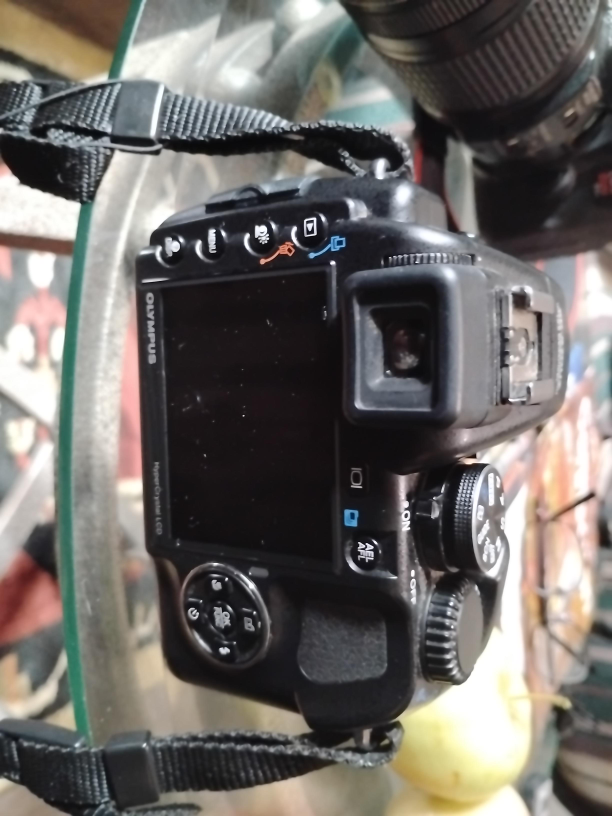 Olympus Digital Camera thumbnail