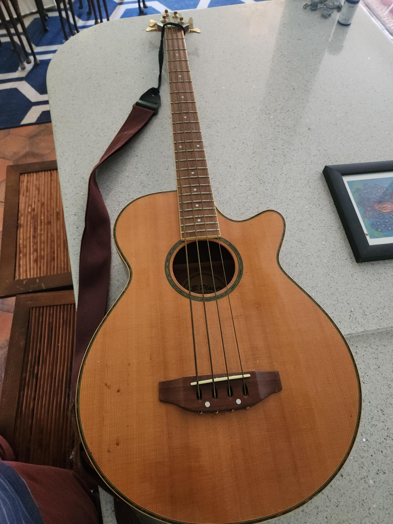 Acoustic Bass Guitar thumbnail