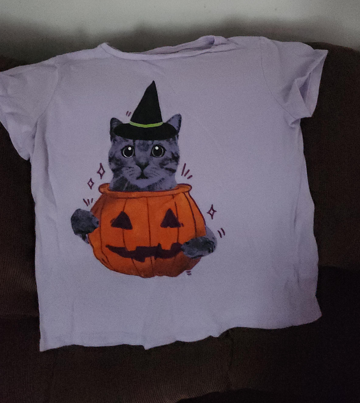 Cat in Pumpkin Halloween T-Shirt thumbnail