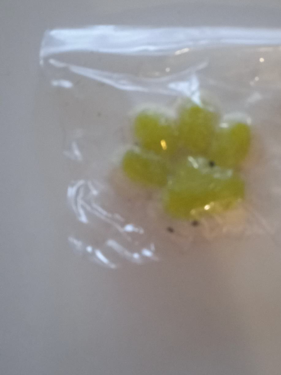 Green Paw squish thumbnail