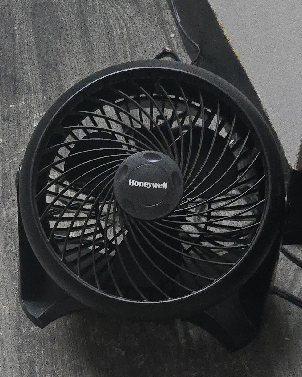 Honeywell Black Fan