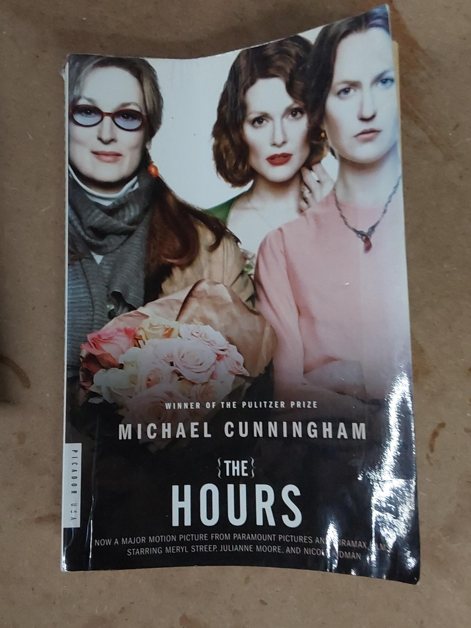 "The Hours" by Michael Cunningham thumbnail