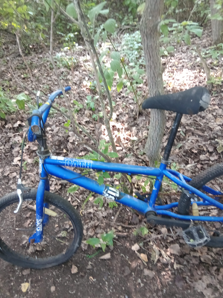 Statii Blue BMX Bike thumbnail