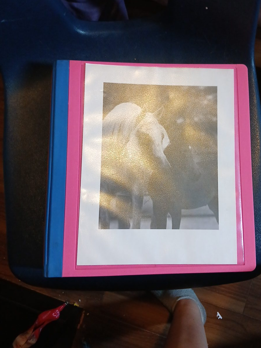 Pink & Blue Binder thumbnail