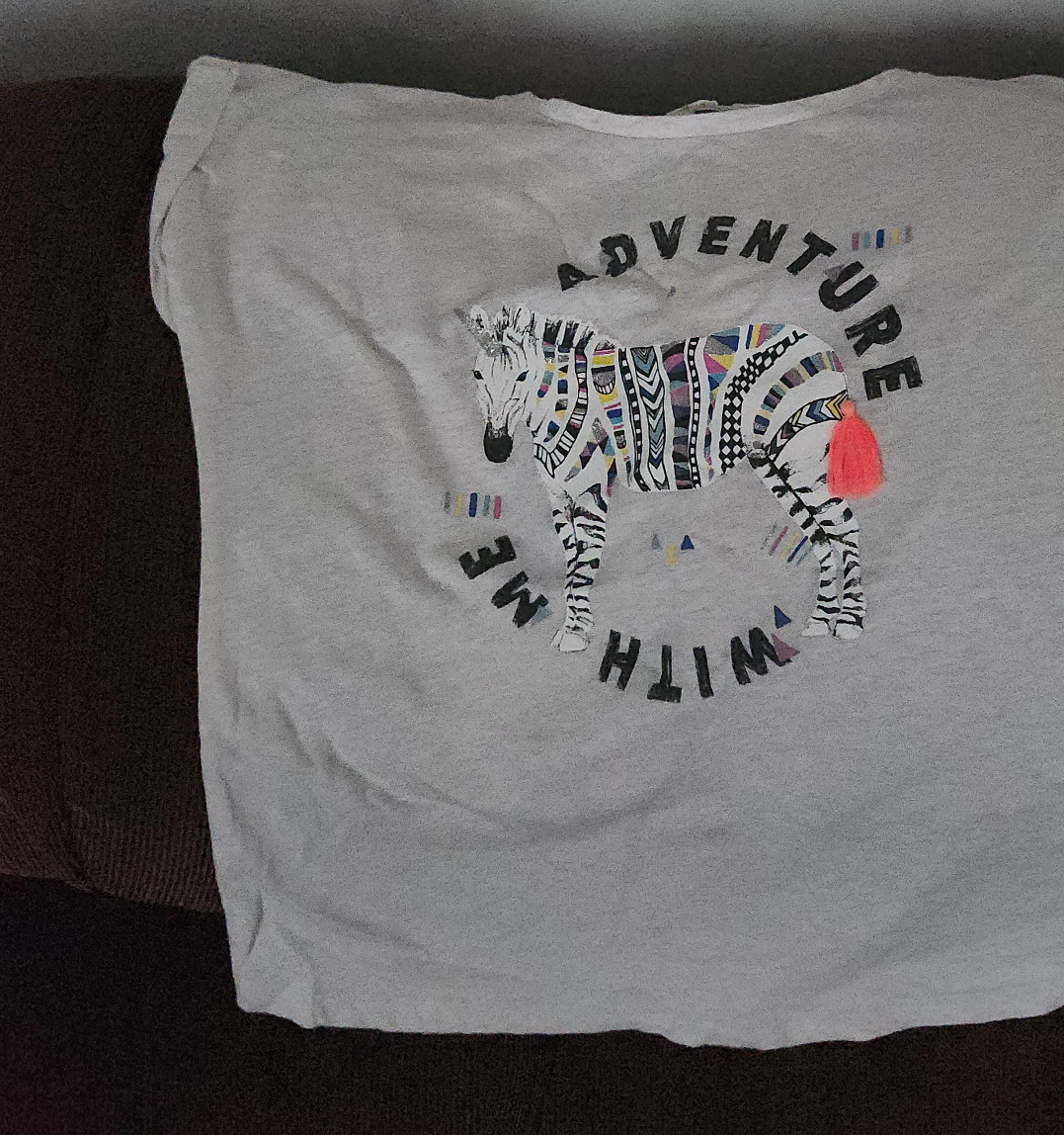 Zebra Graphic T-Shirt thumbnail