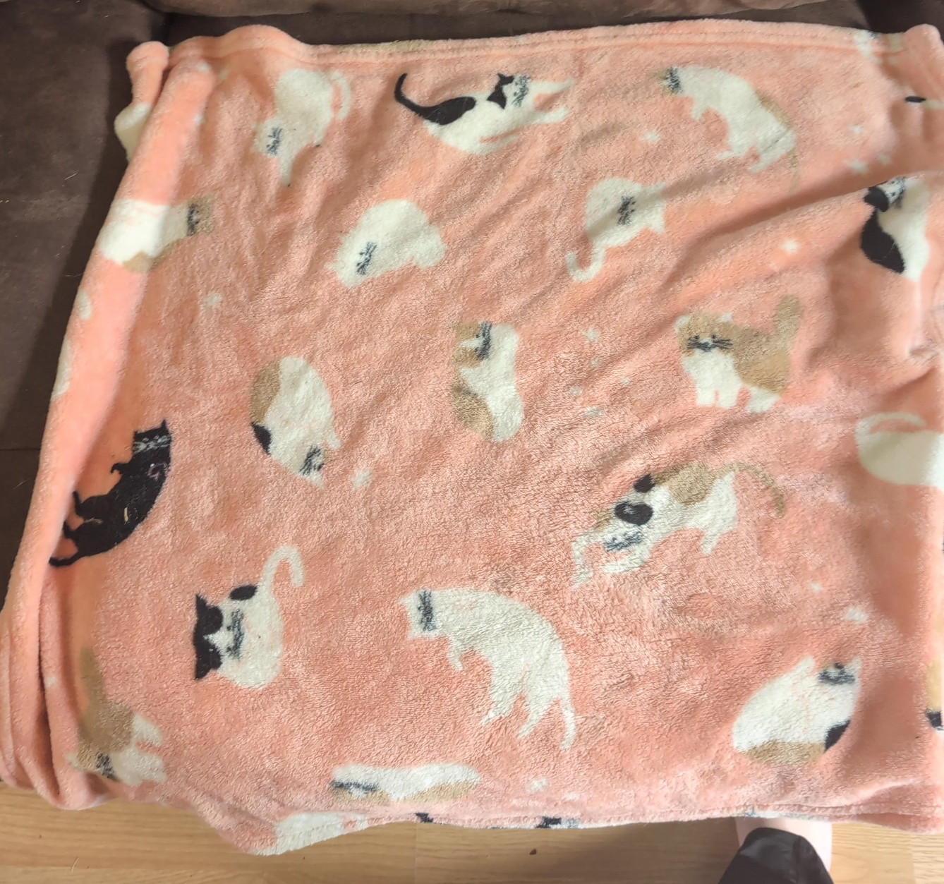 Cute Cat Print Blanket thumbnail