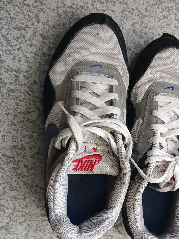 Nike Air Max Sneakers thumbnail