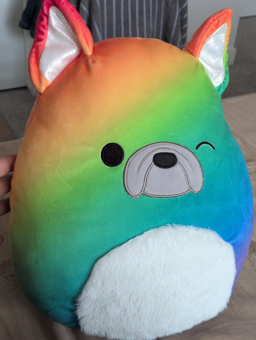 Rainbow Bulldog Plush Toy