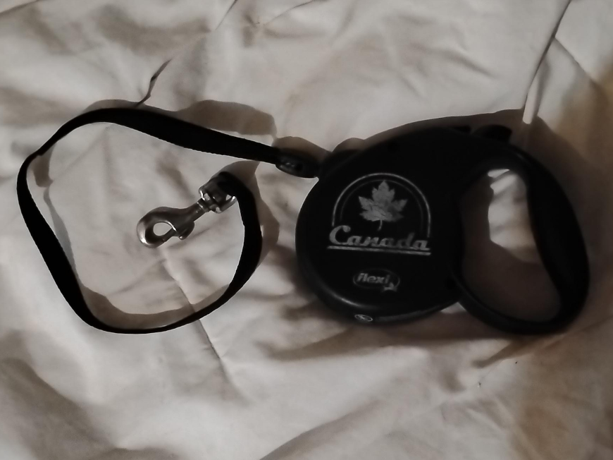 Flexi Canada Retractable Dog Leash thumbnail
