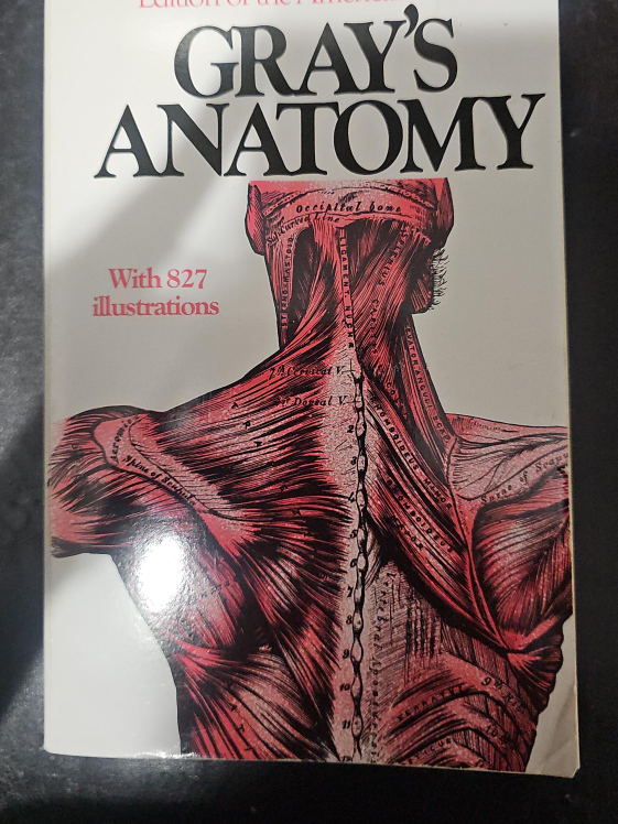 Gray's Anatomy Book thumbnail