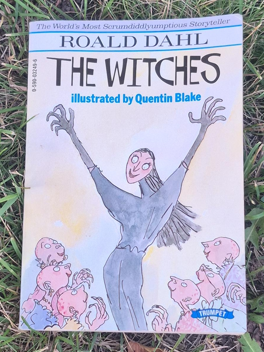 The Witches by Roald Dahl