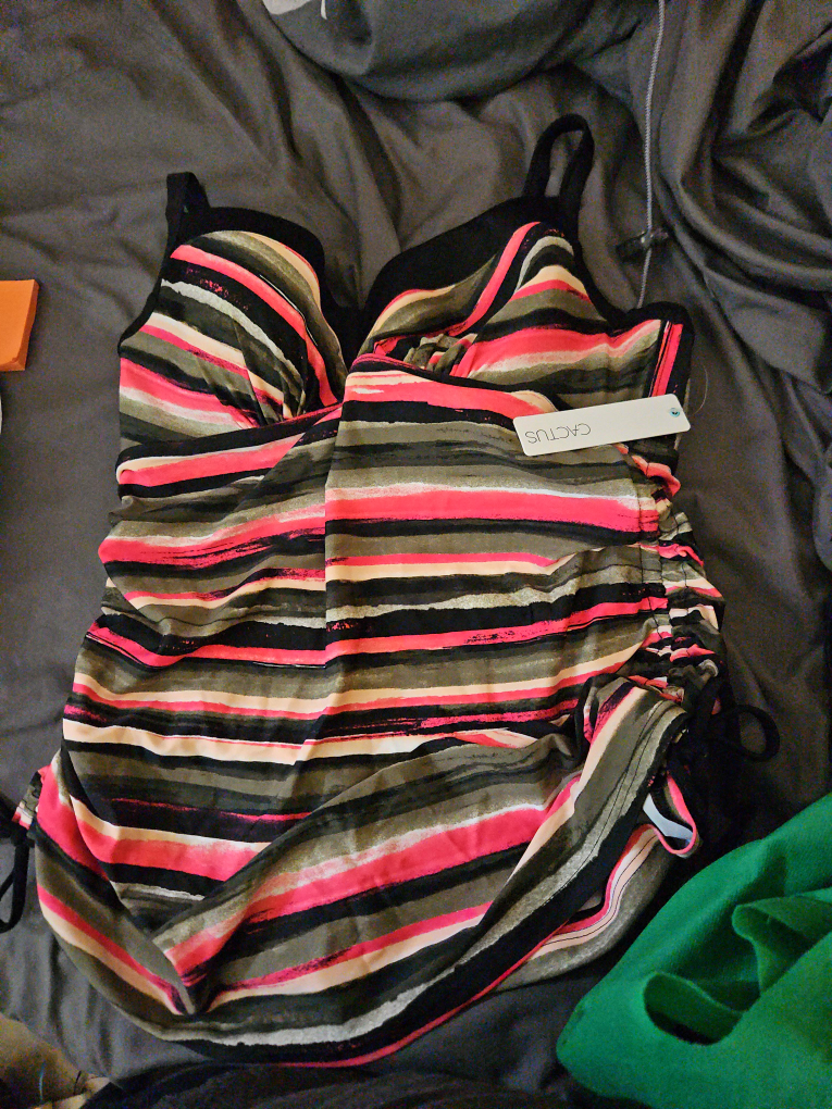 Cactus 1X Striped Swimsuit - New with Tags!