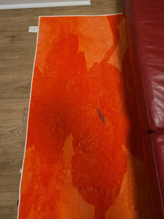 Orange Area Rug thumbnail