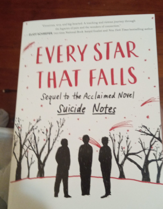 Every Star That Falls thumbnail