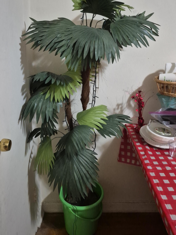 Artificial Palm Tree thumbnail