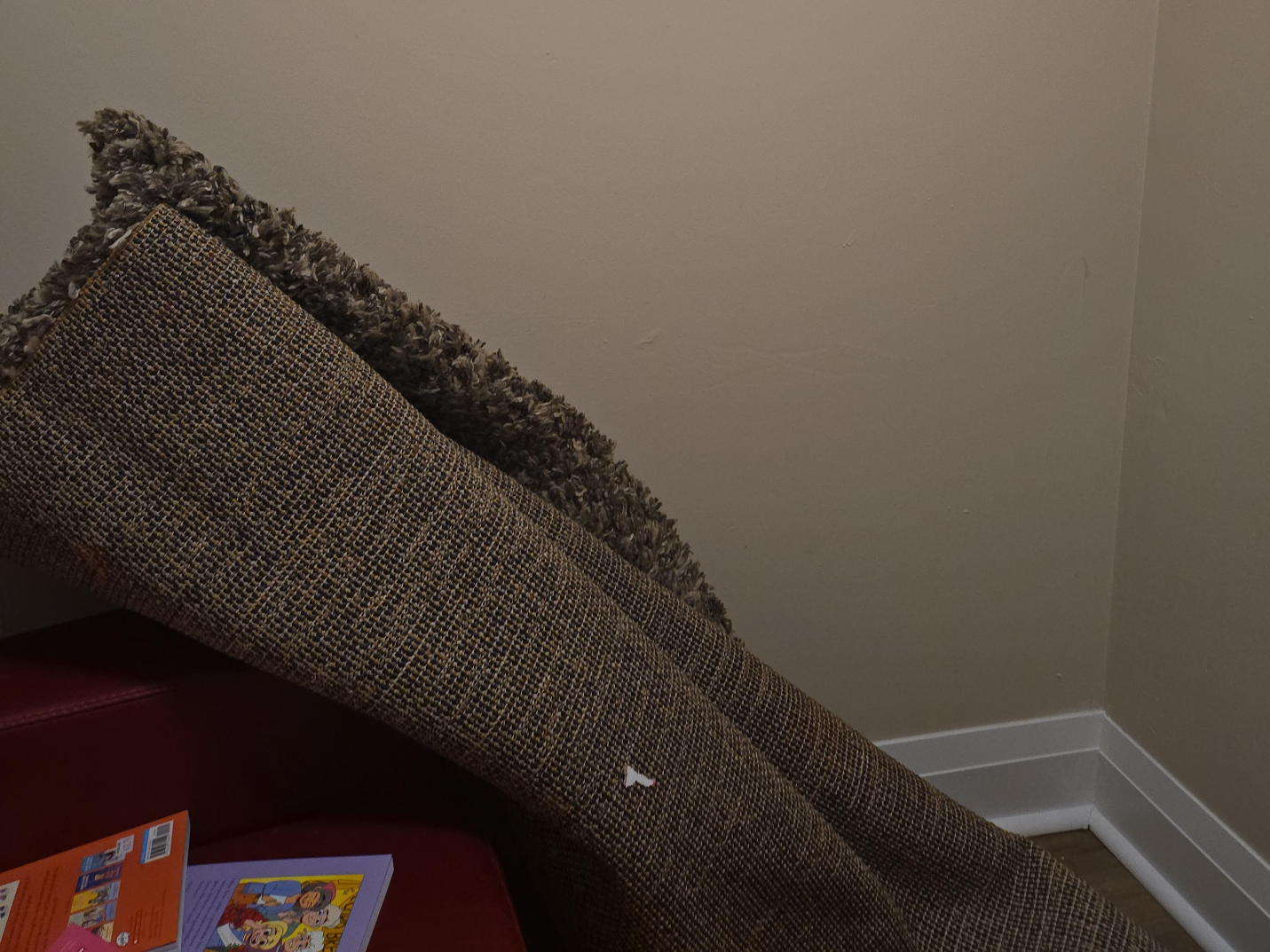 Brown Shag Rug image indicator(1)