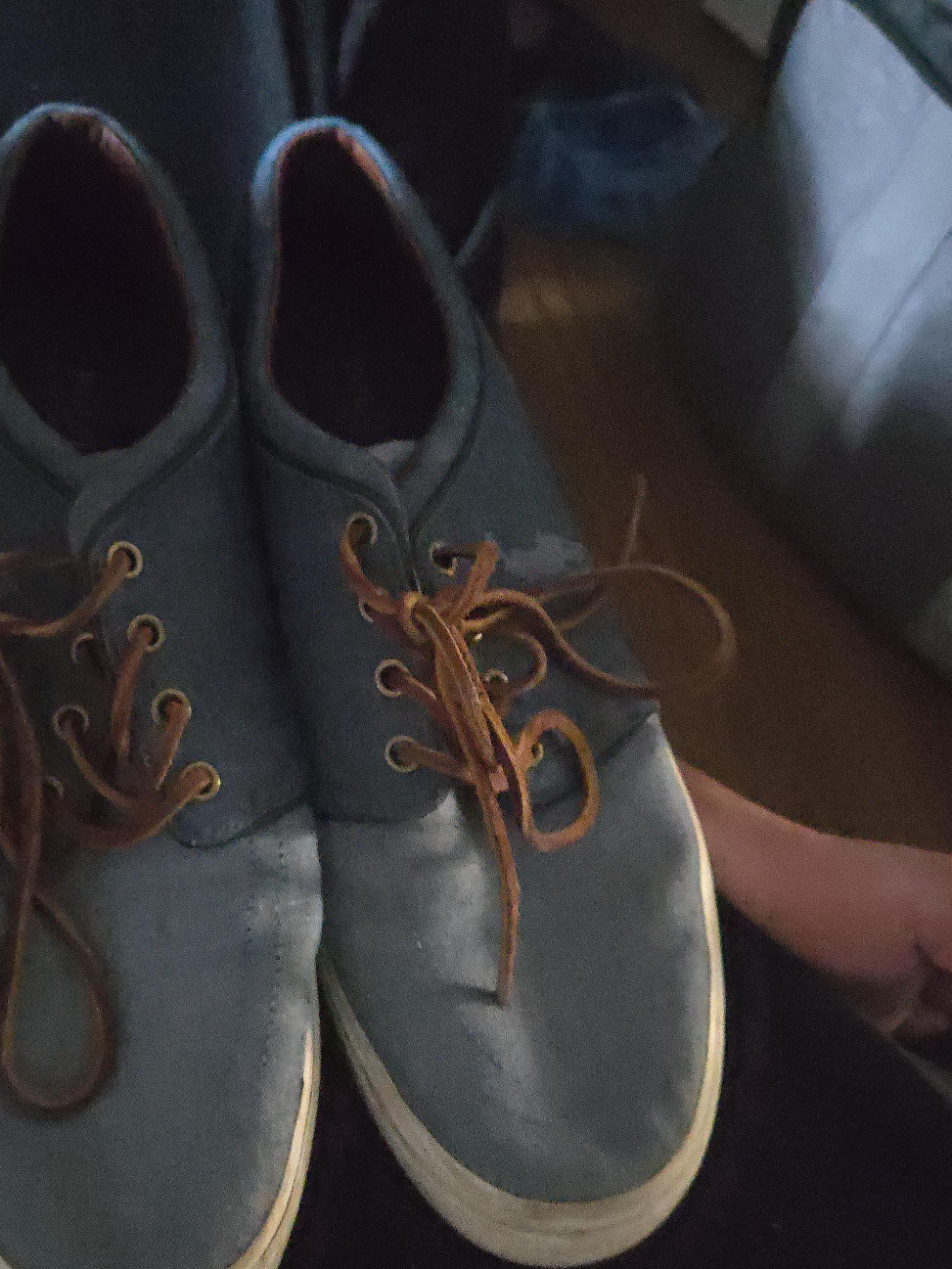 Polo Ralph Lauren Blue Canvas Shoes thumbnail