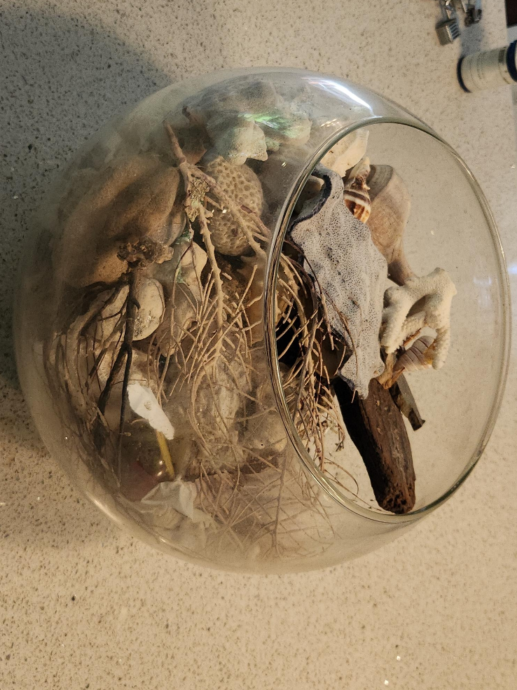 Glass Terrarium with Dried Botanicals thumbnail