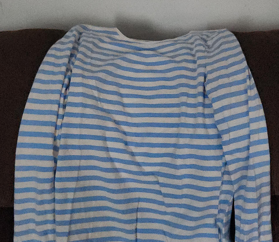 Striped Long Sleeve Top thumbnail