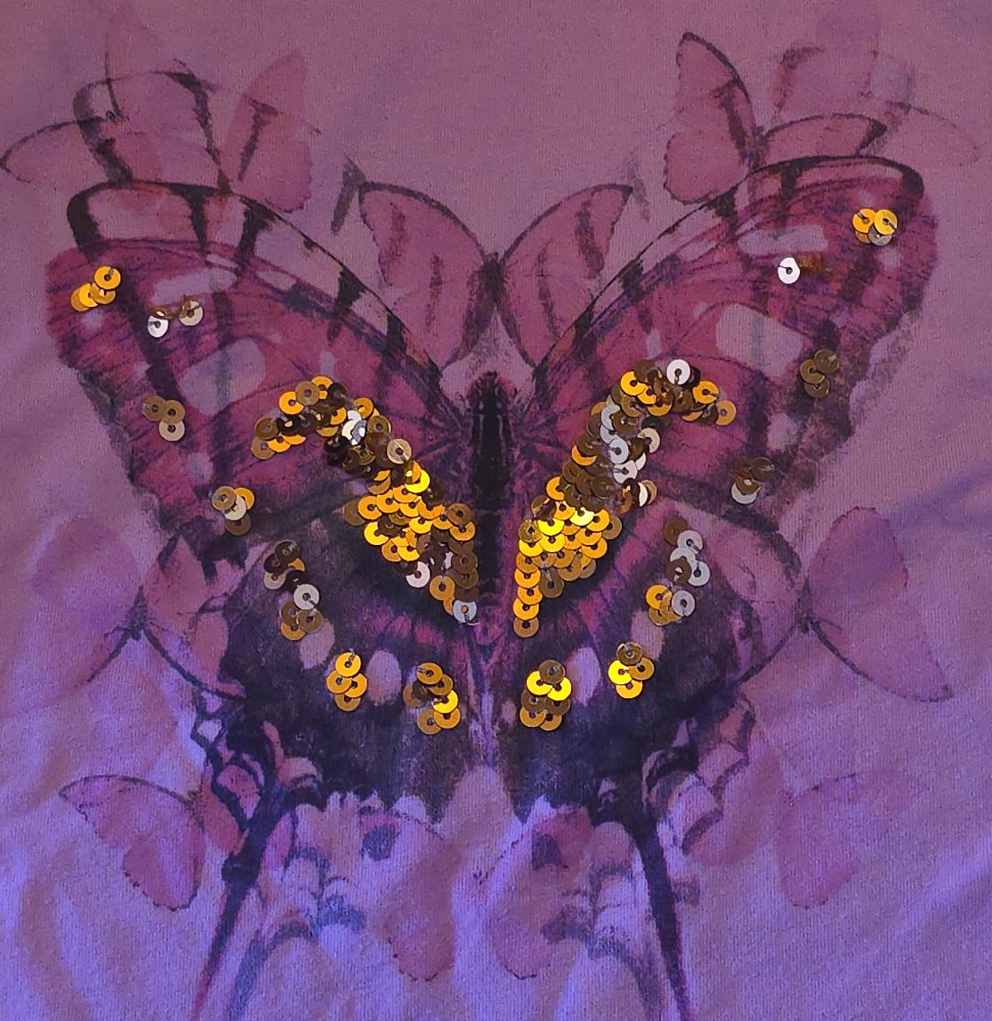 Butterfly Sequin Top thumbnail