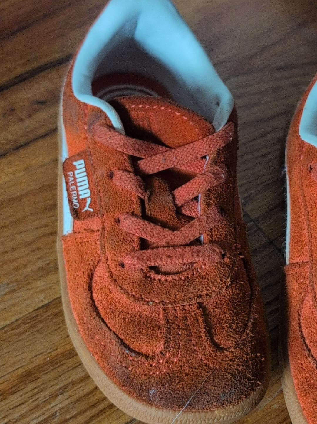 Puma Palermo Toddler Sneakers - Orange thumbnail