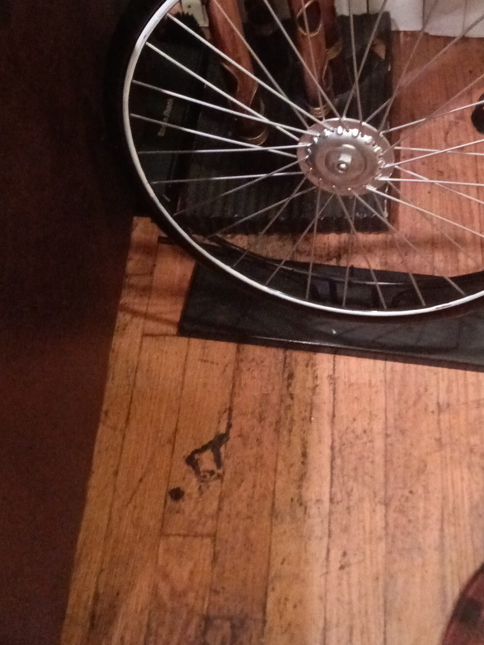 Bike Wheel thumbnail