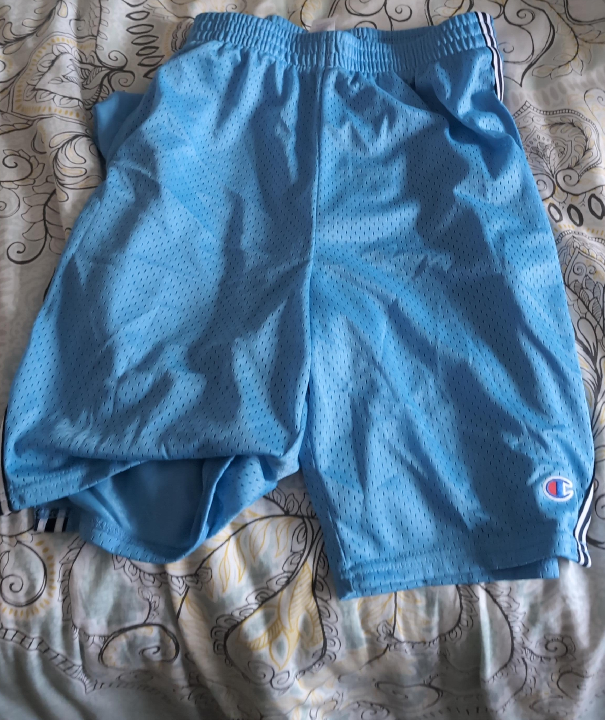 Champion Mesh Shorts - Blue thumbnail