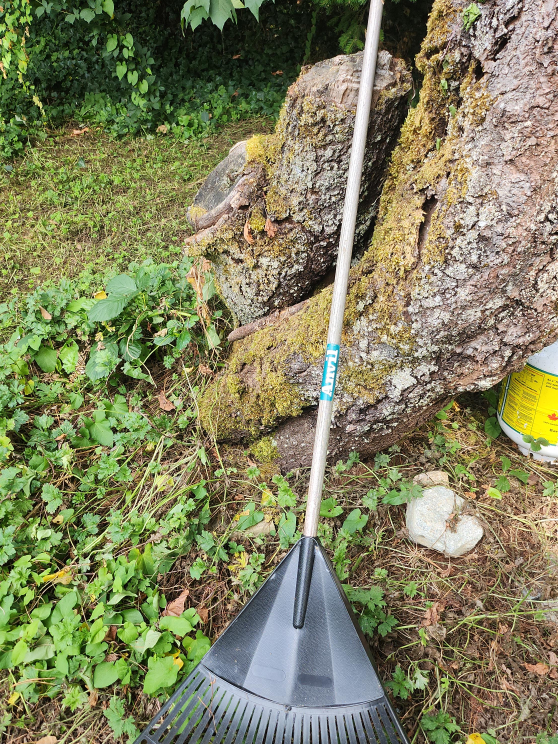 Anvil Leaf Rake thumbnail