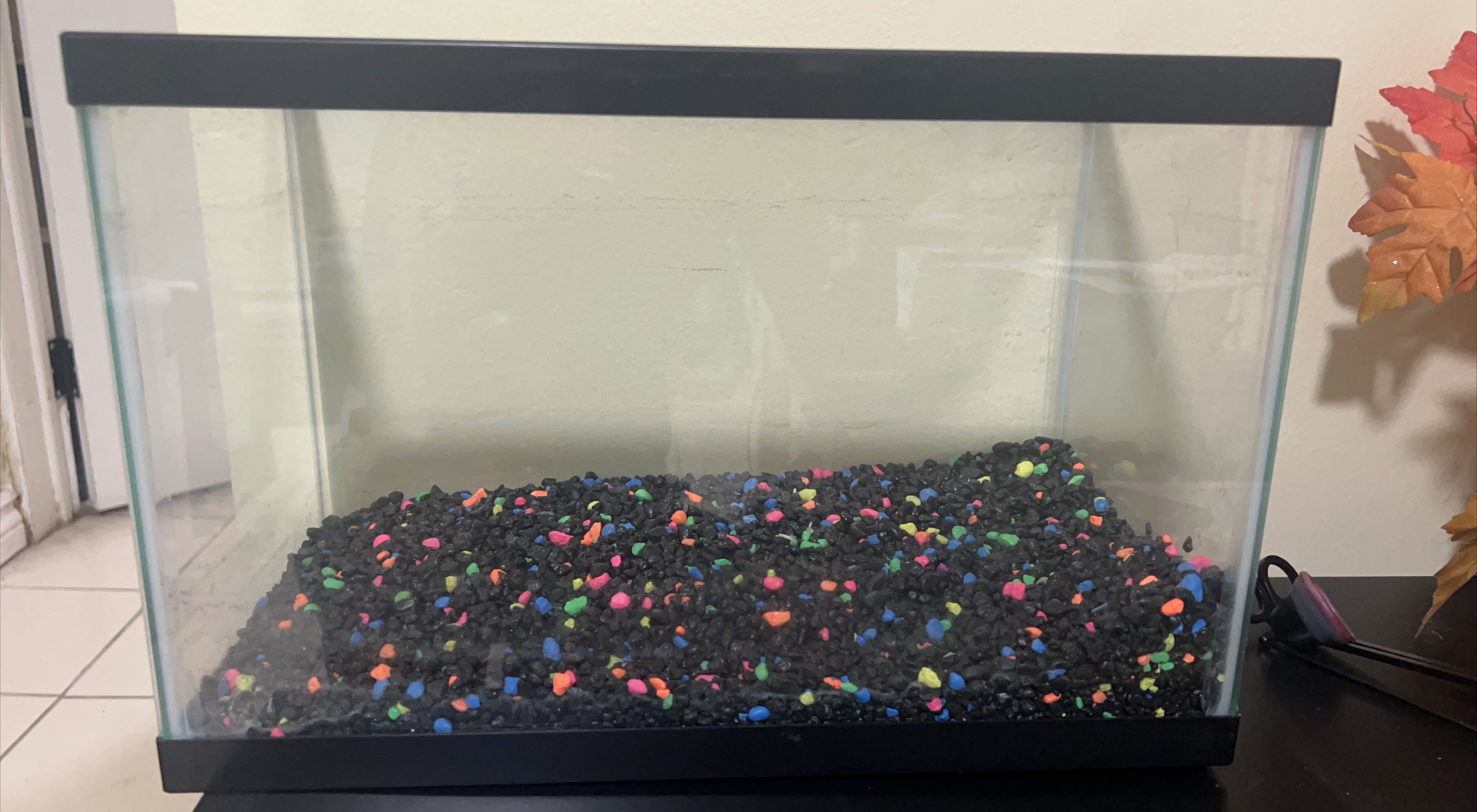 Fish Tank with Gravel & Accessories image indicator(1)