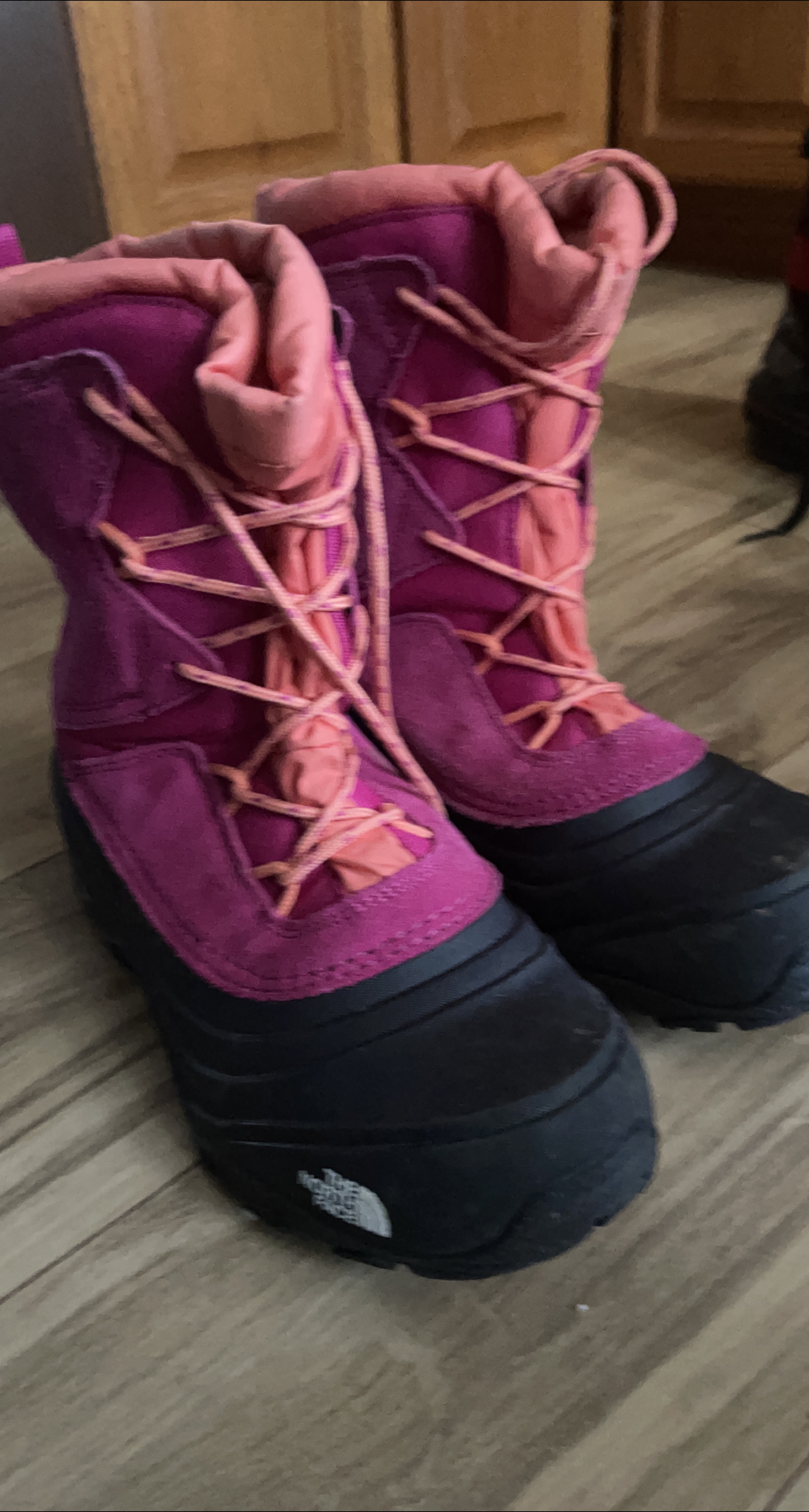 The North Face Pink Winter Boots