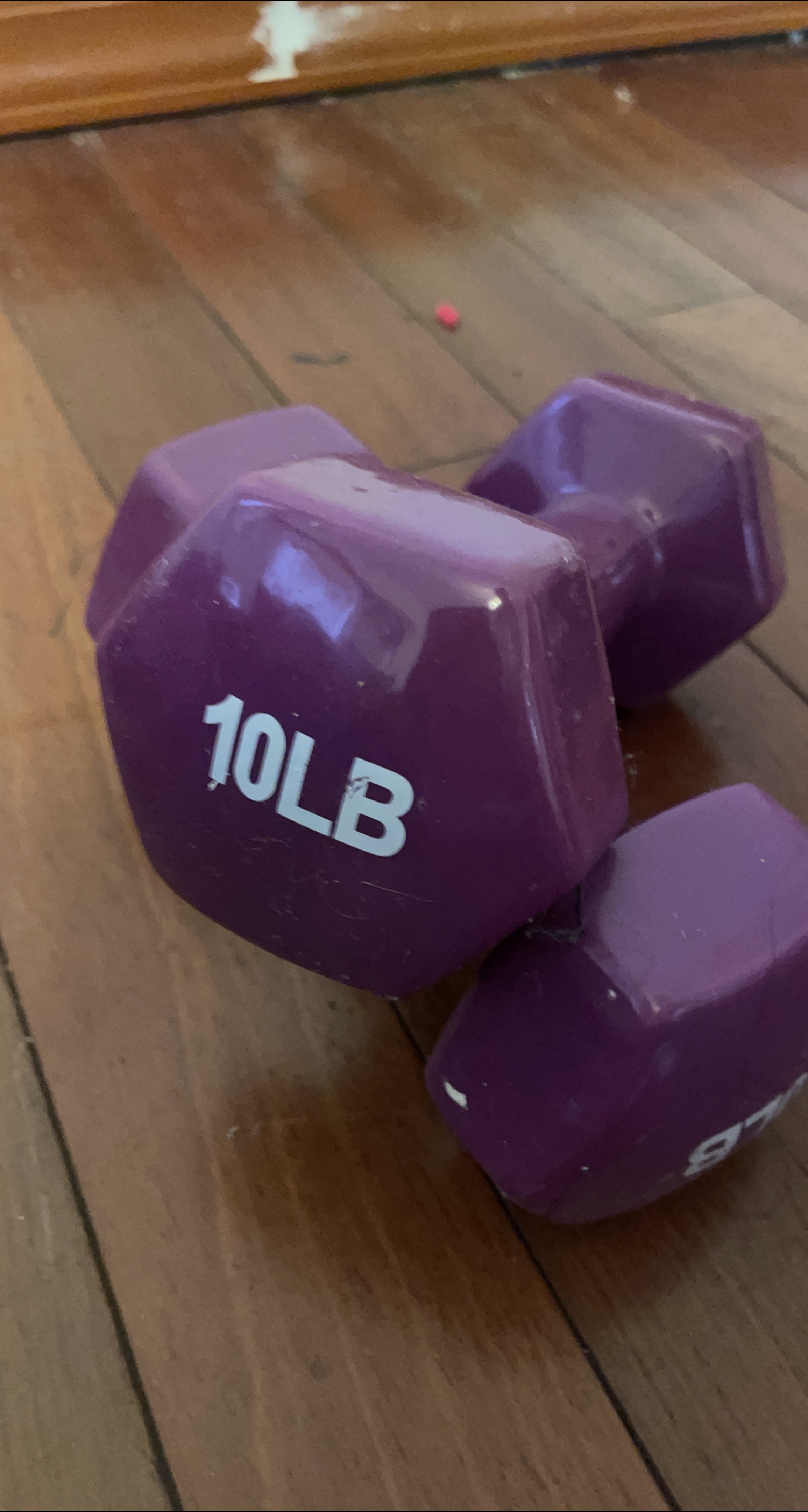 Purple 10LB Dumbbell thumbnail