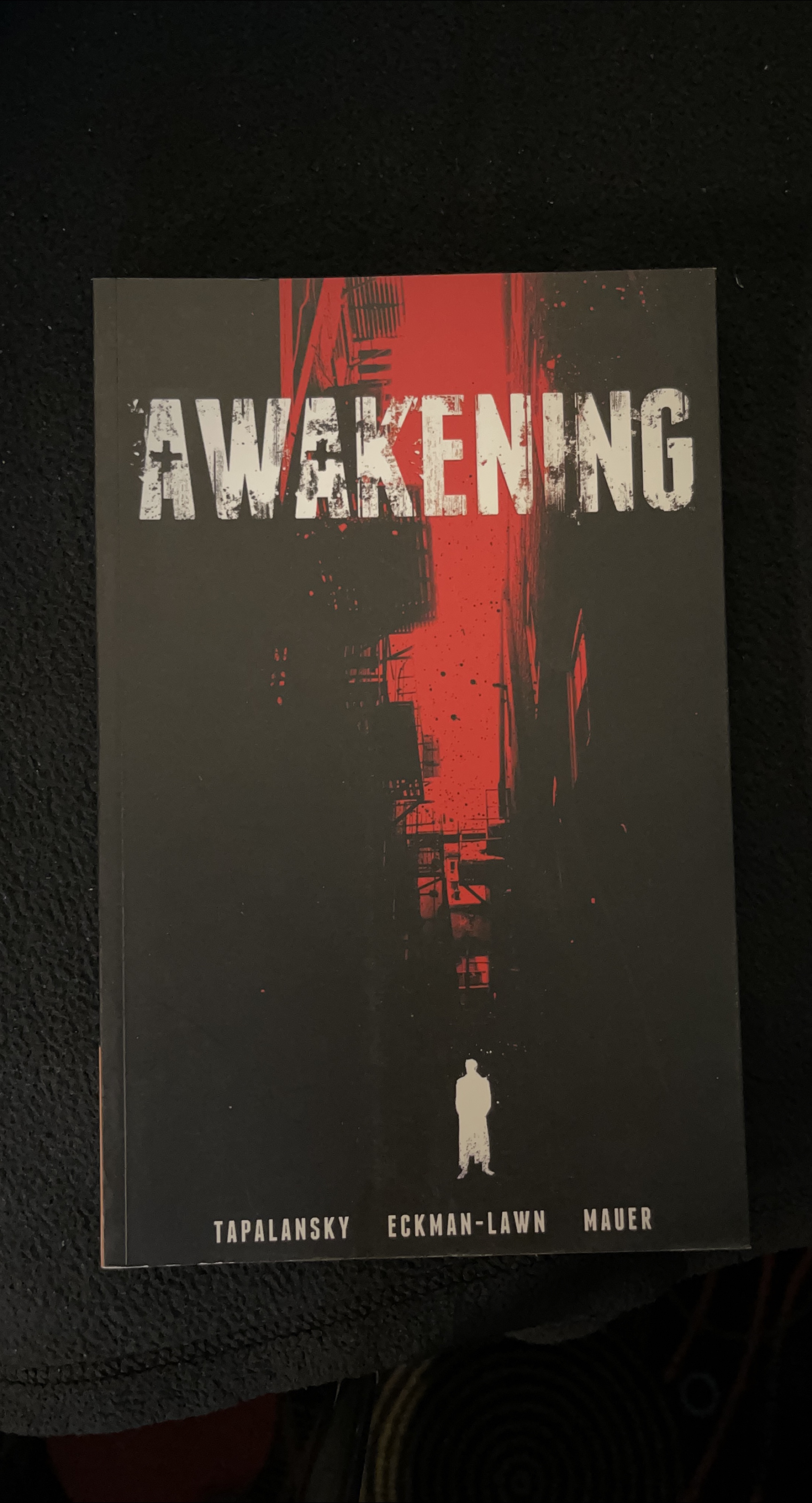 Awakening by Tapalansky, Eckman-Lawn, Mauer thumbnail