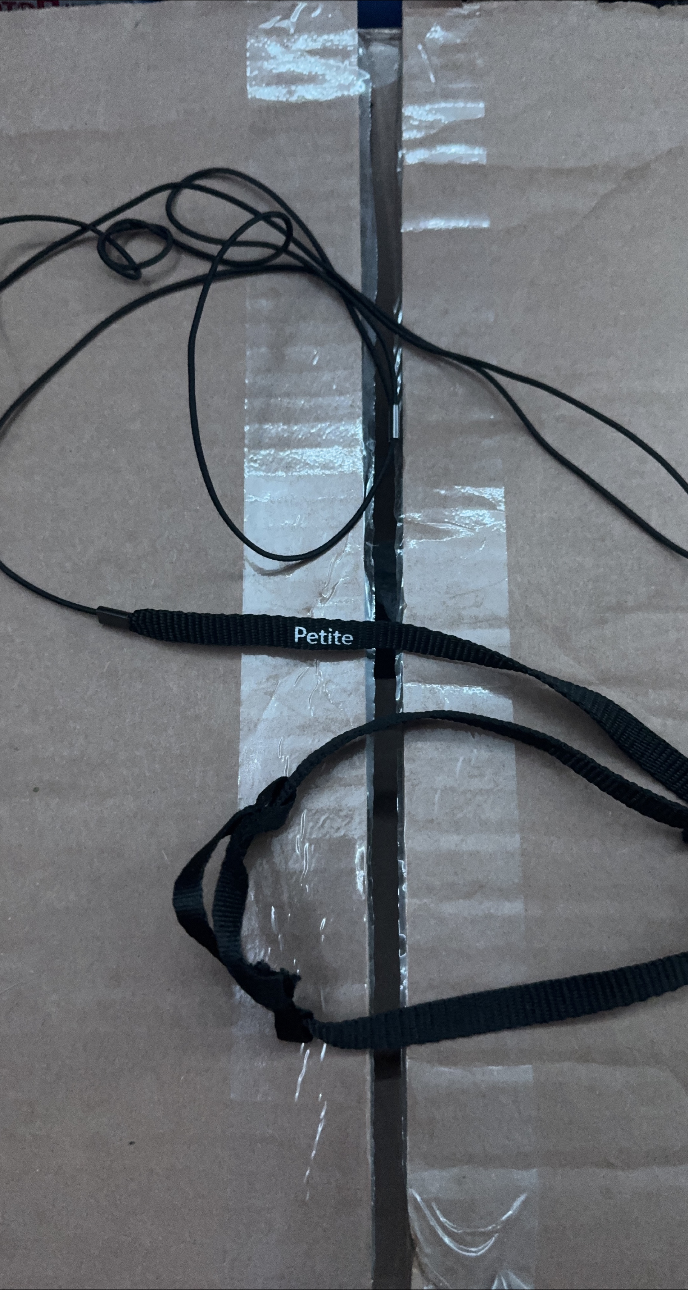Small Parrot conure Harness collar thumbnail