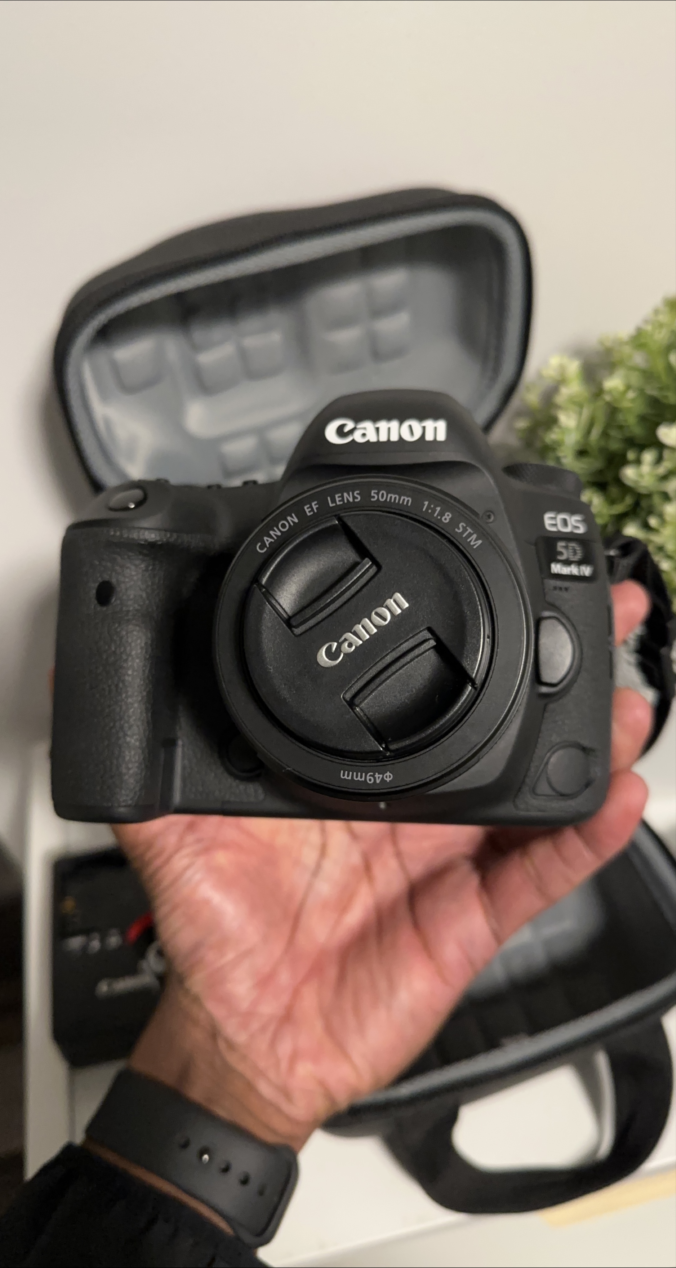 Canon EOS 5D Mark IV with 50mm Lens