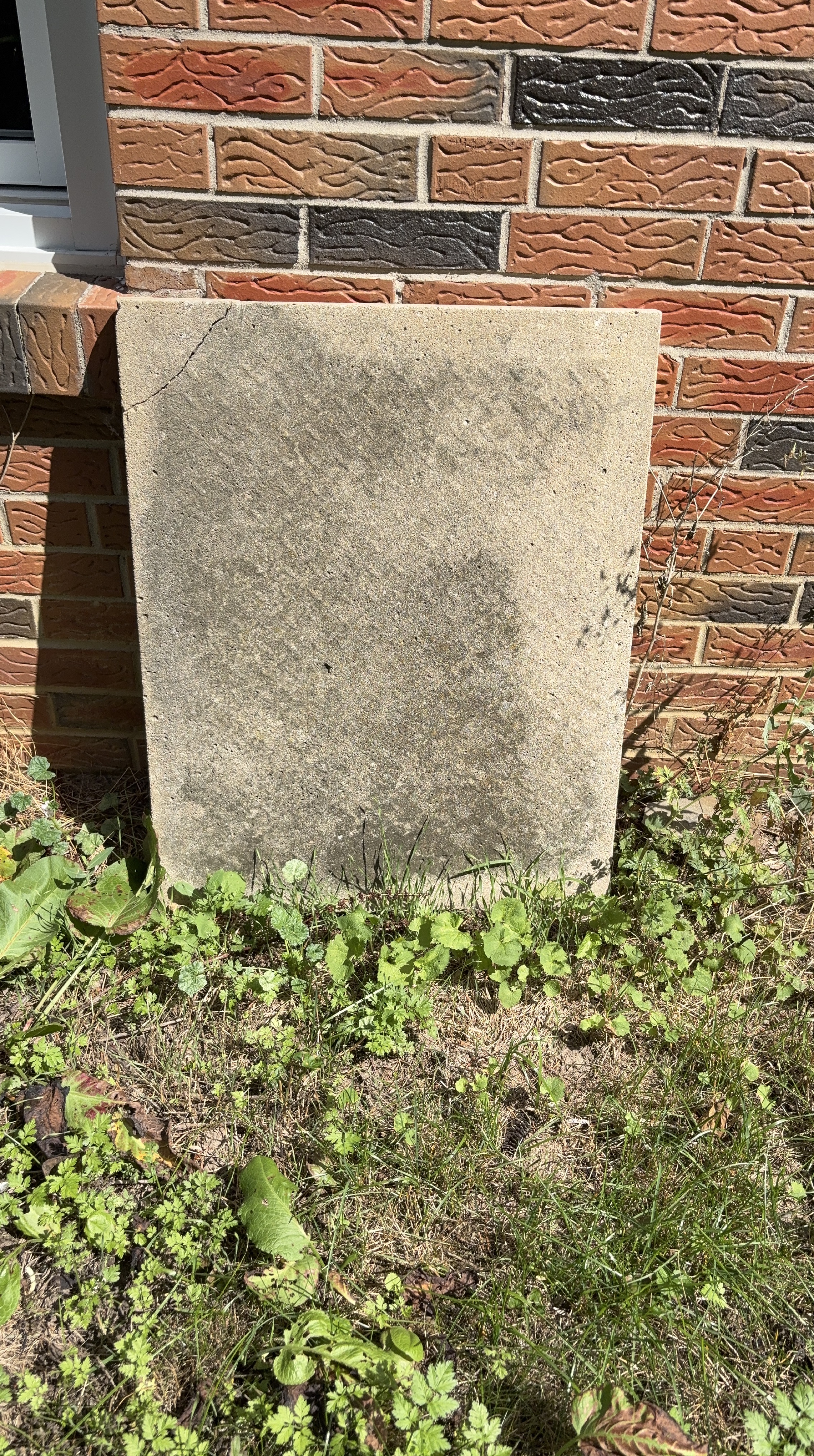 Concrete patio stone thumbnail