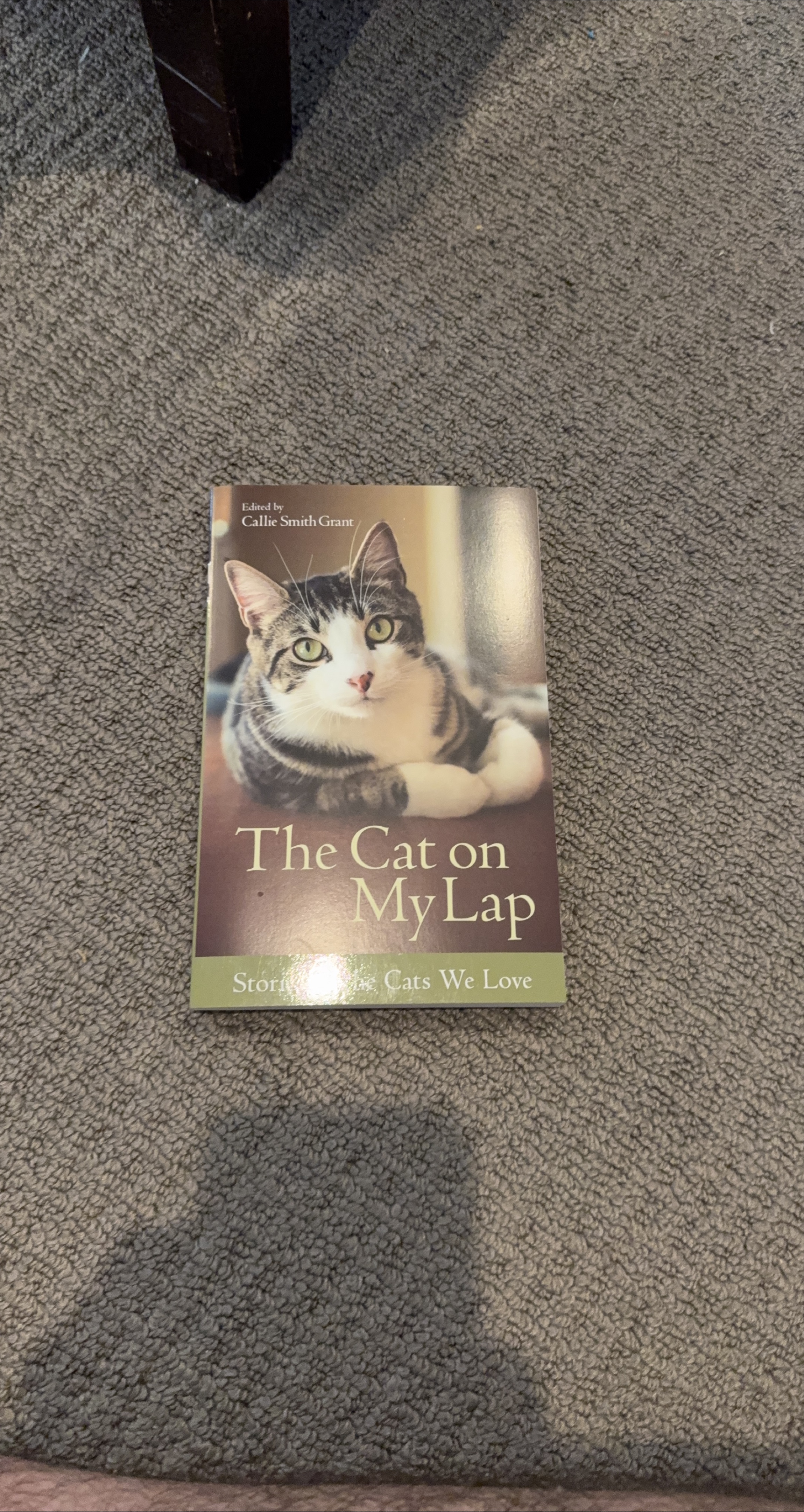 The Cat on My Lap Book thumbnail